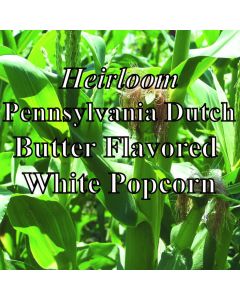 Organic Pennsylvania Dutch Butter Flavored Popcorn